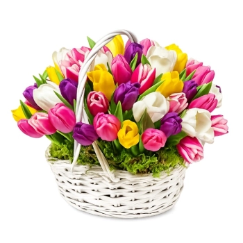 50 Tulipanów w Koszu