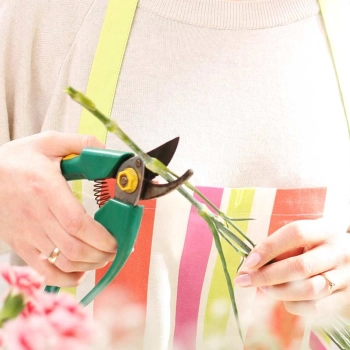 Zadbajmy o cięte kwiaty