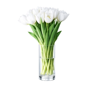 11 białych tulipanów