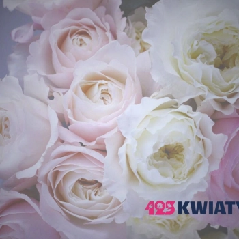 Jaki wybrać bukiet na komunię? Najlepsze kwiaty