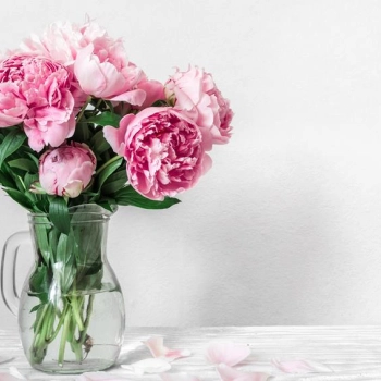 Jak zadbać o bukiet ciętych kwiatów?