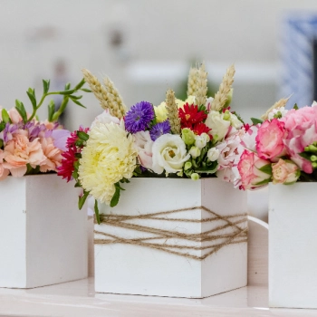 Jakie kwiaty wybrać do flowerboxa?