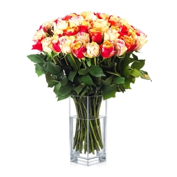 35 Kremowych i Herbacianych Róż