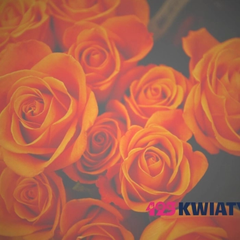 Jak wysłać kwiaty za granicę przez internet?