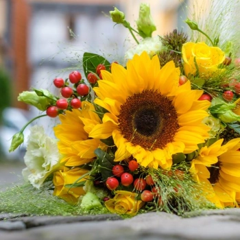 Jakie kwiaty dla nauczycieli na rozpoczęcie roku?