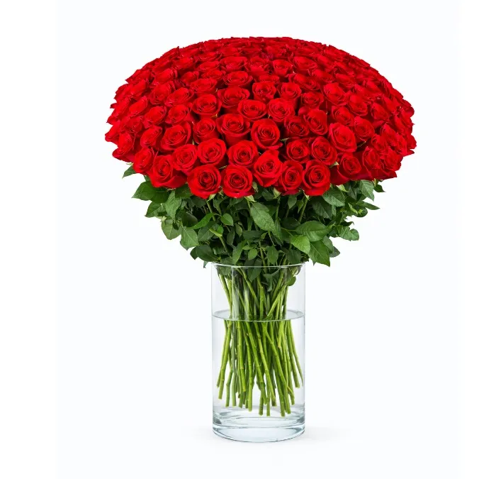 100 Czerwonych Róż
