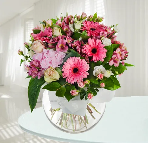 Różowy Świt - USA