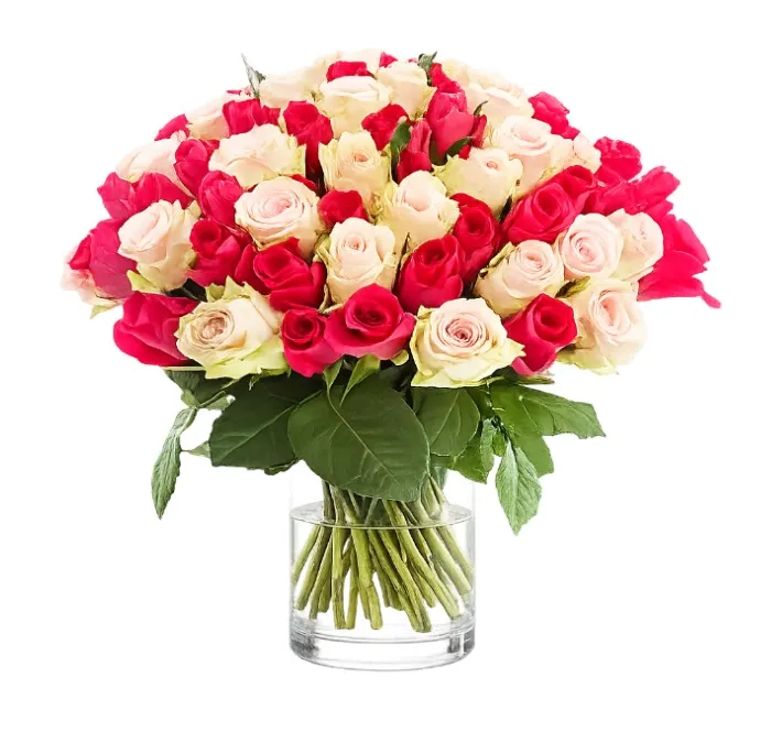 50 Białych i Różowych Róż