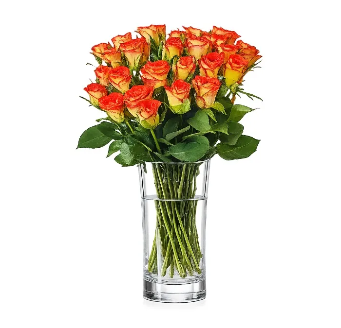 25 Herbacianych Róż