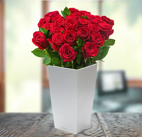 24 Czerwone Róże