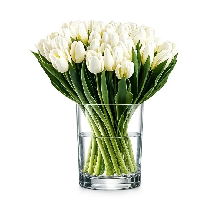 30 białych tulipanów