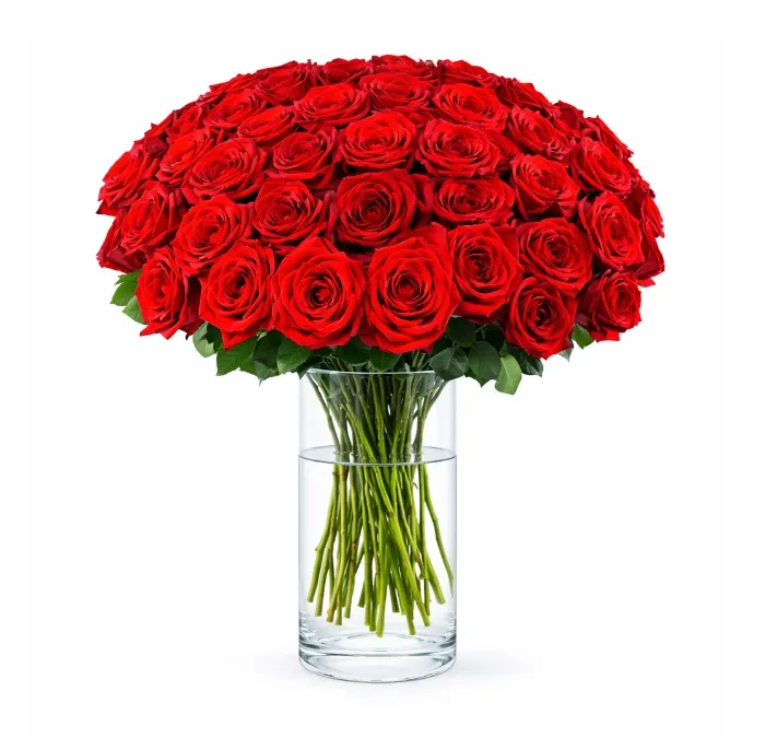 50 Czerwonych Róż