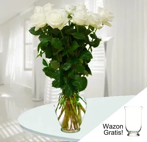 11 Białych Róż - Niemcy