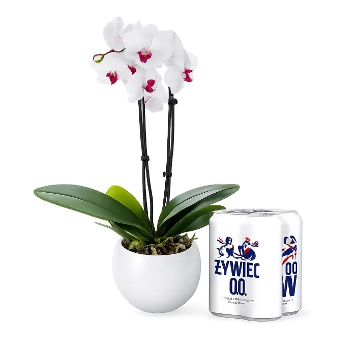 Storczyk i Żywiec Free