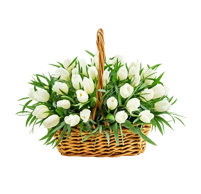 Kosz 35 Białych Tulipanów