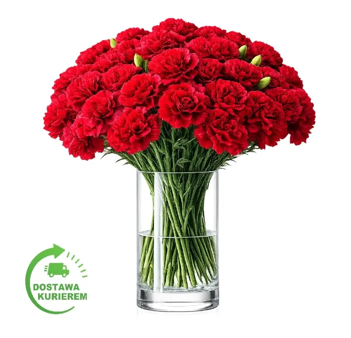 Bukiet 50 czerwonych goździków