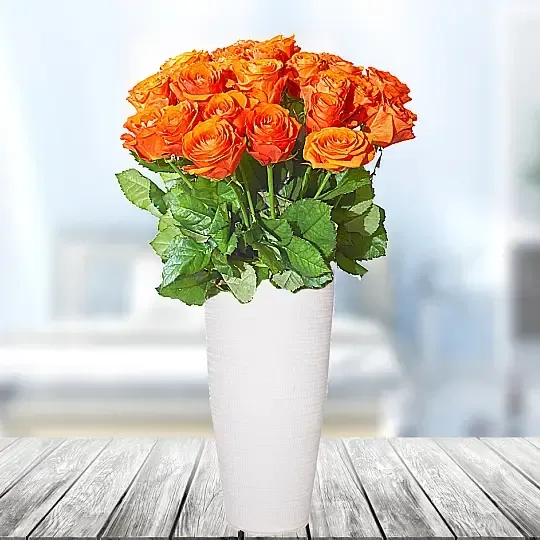 20 Herbacianych Róż - Niemcy