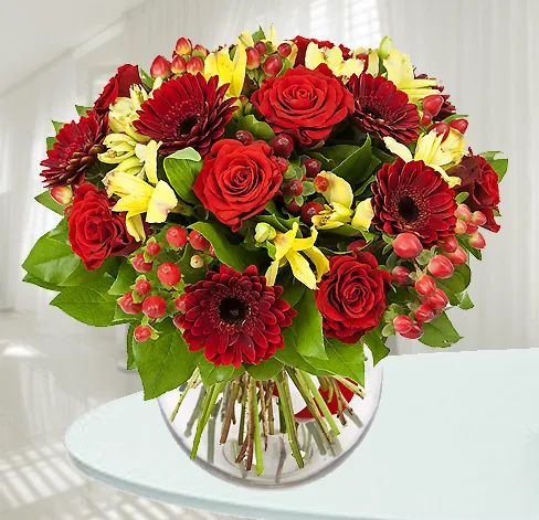 Czerwony Szyk - Holandia