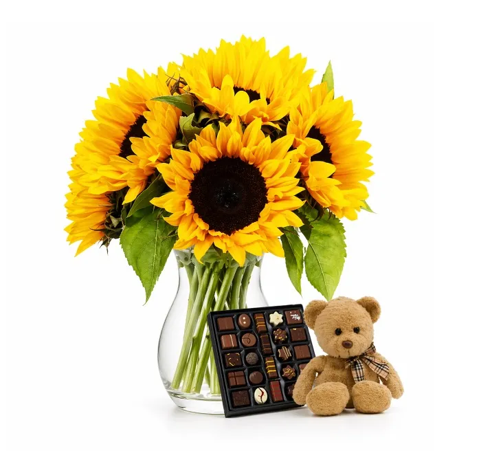 Słoneczny Dzień z Czekoladkami i Misiem