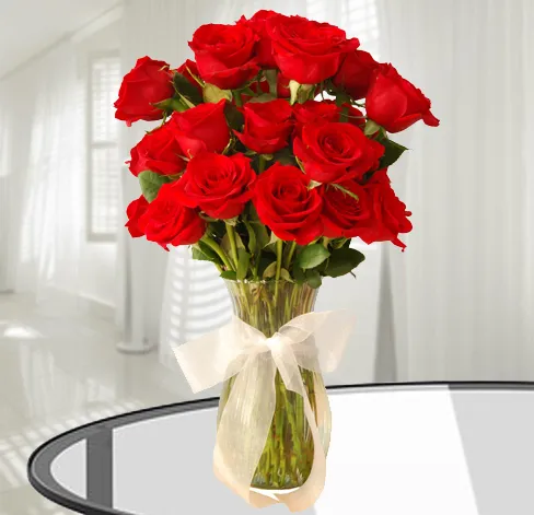 18 Czerwonych Róż - Holandia