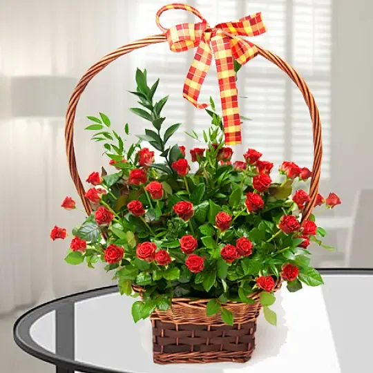 Kosz Czerwonych Róż