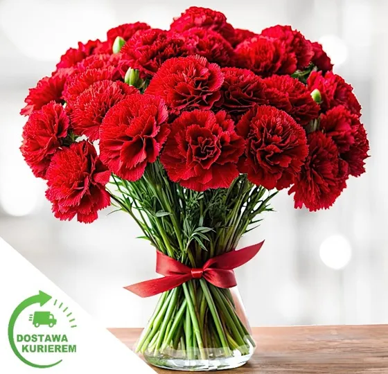 Bouquet of 25 red carnations