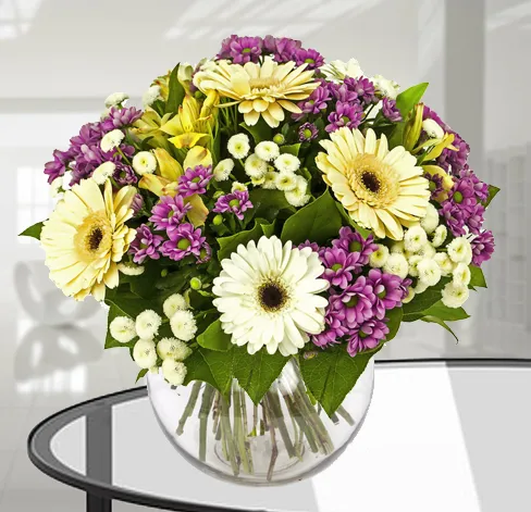 Piękny Dzień - Holandia