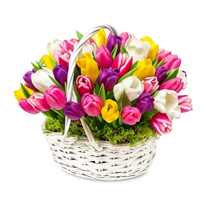 50 Tulipanów w Koszu