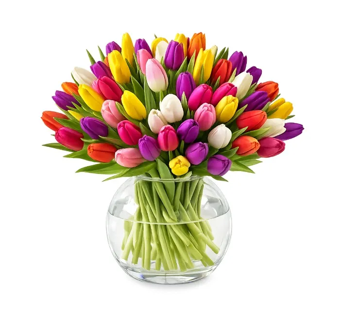 40 kolorowych tulipanów