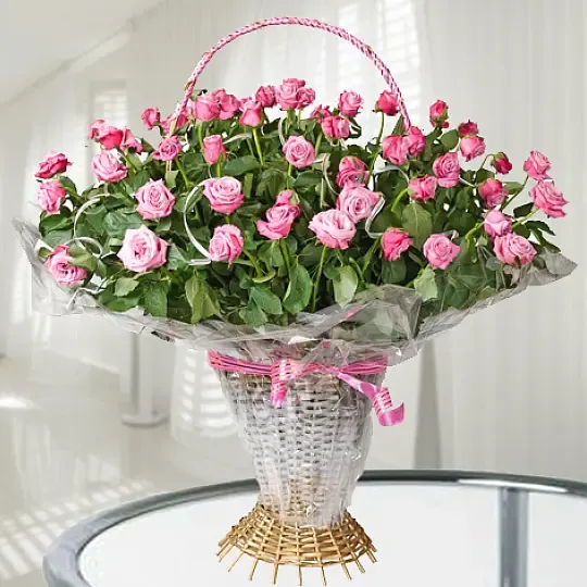 Produkt Moc Słodyczy Zdjęcie