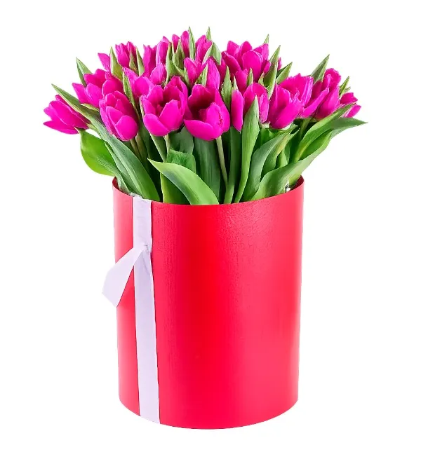 Produkt Flowerbox 25 fioletowych tulipanów Zdjęcie