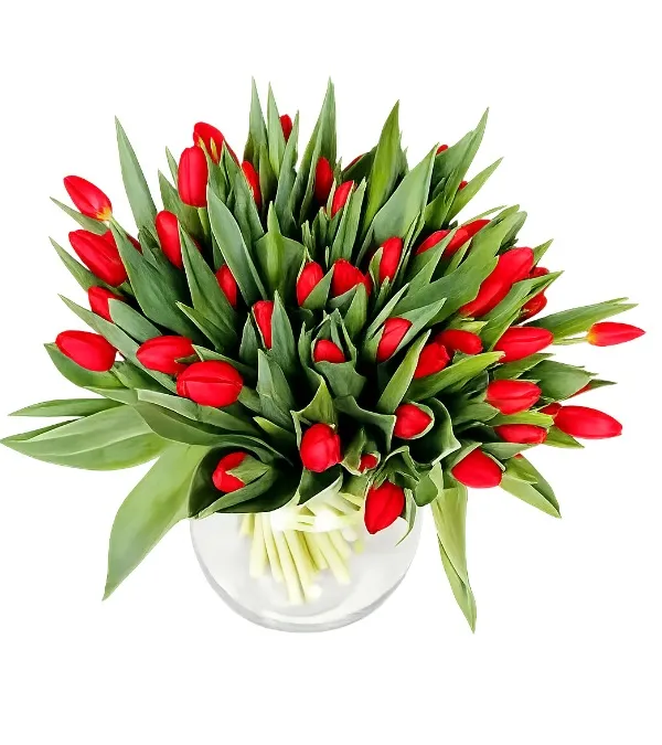 Product 50 red tulips Image