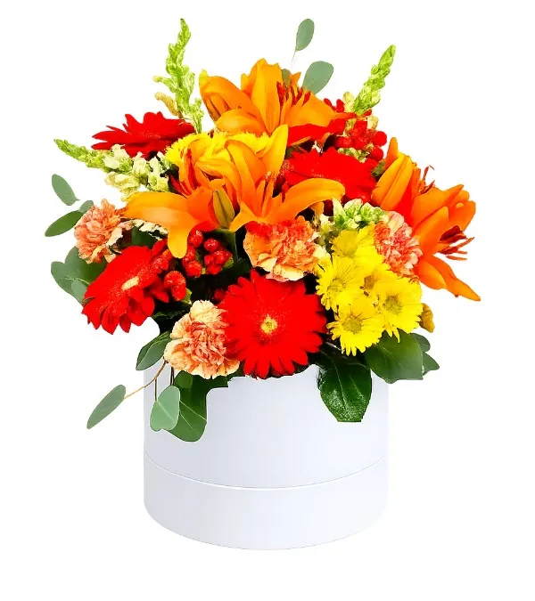 Produkt Flowerbox Ekscytujący Zdjęcie