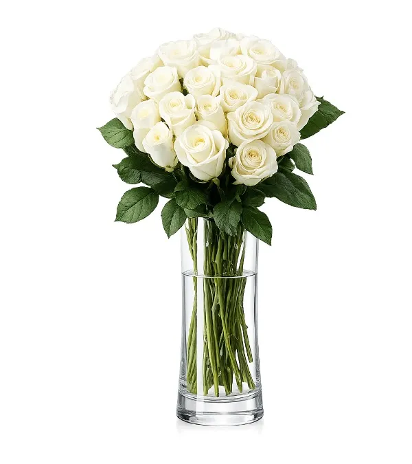 Produkt 21 Białych Róże Zdjęcie