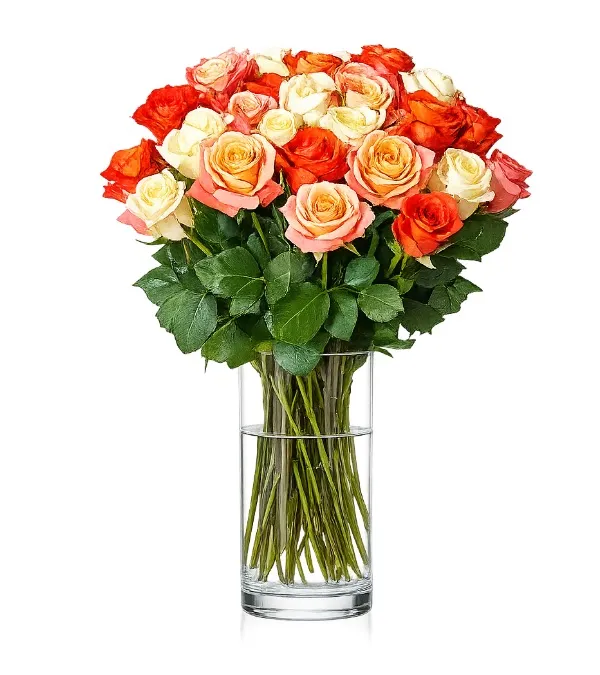 Produkt 25 Kolorowych Róż Zdjęcie