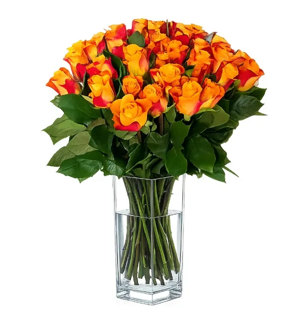 Produkt 30 Herbacianych Róż Zdjęcie