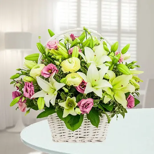 Produkt Droga do Gwiazd Zdjęcie