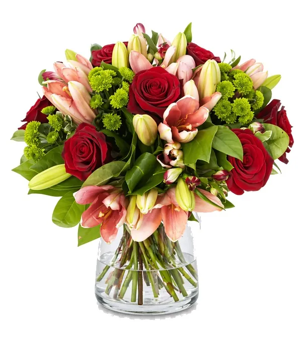 Produkt Głębia Zapachu Zdjęcie