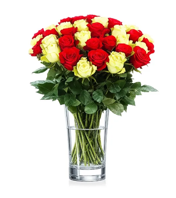 Produkt 35 Białych i Czerwonych Róż Zdjęcie