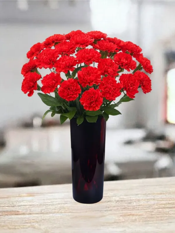 Produkt 21 czerwonych goździków Zdjęcie