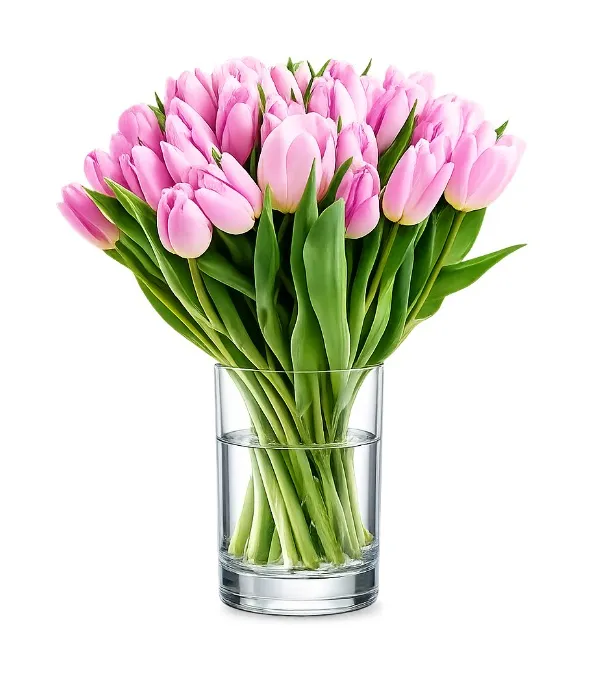 Product 30 pink tulips Image