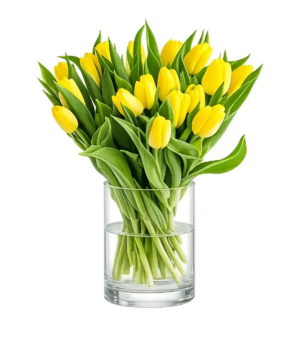 Product Yellow tulips Image