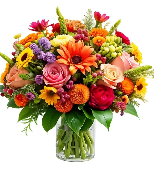 Produkt Letni Ogród Zdjęcie