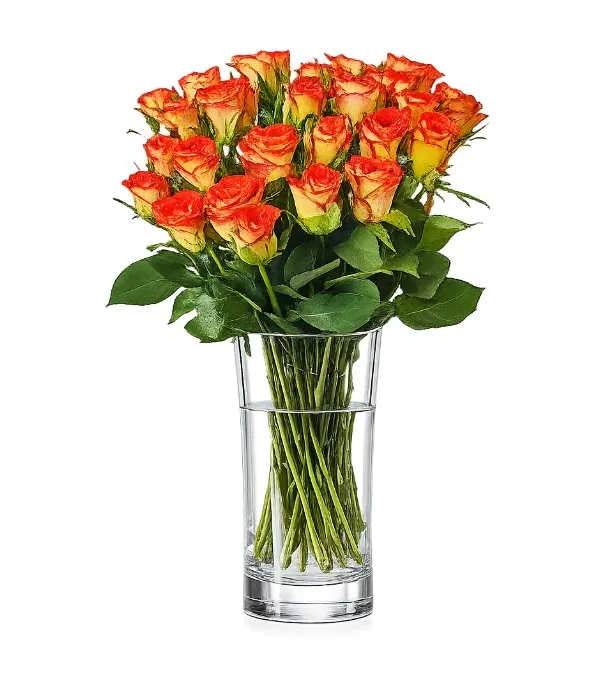 Produkt 25 Herbacianych Róż Zdjęcie