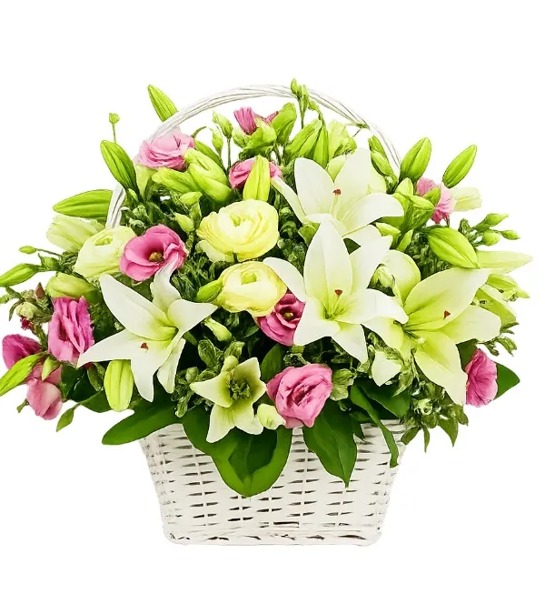 Produkt Droga do Gwiazd Zdjęcie