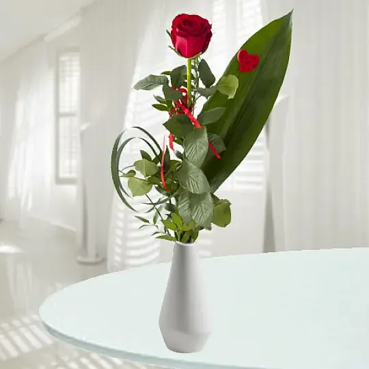 Produkt Czerwona Róża Zdjęcie