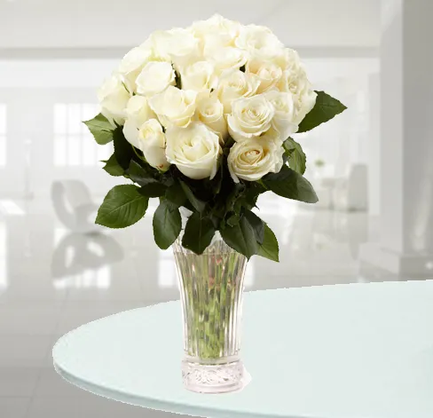 Produkt 21 Białych Róże Zdjęcie