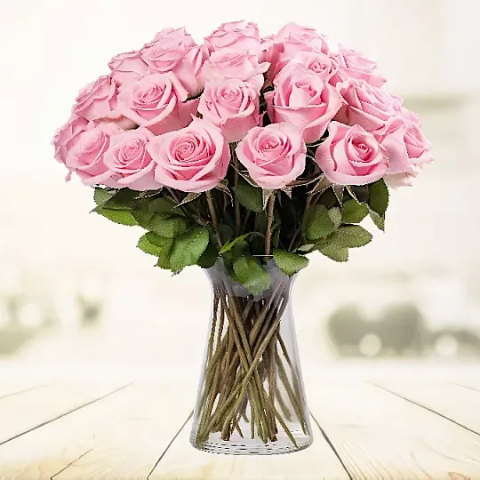 Produkt 25 Różowych Róż Zdjęcie