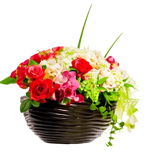 Produkt Jak z Bajki Zdjęcie