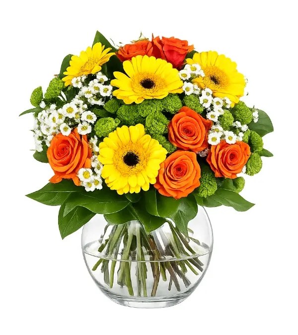 Produkt Letnia Miłość - Holandia Zdjęcie